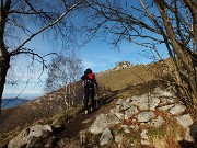 29 Usciamo dal bosco